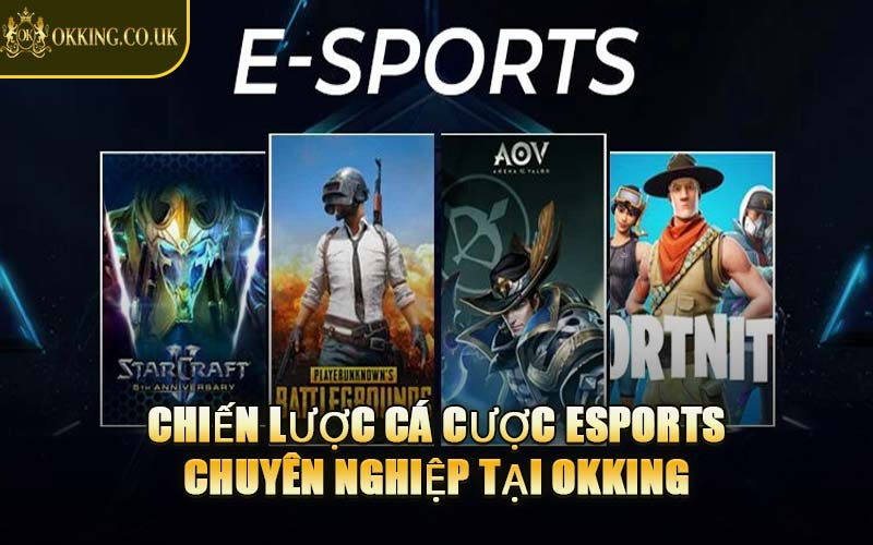 Chiến Lược Cá Cược Esports Chuyên Nghiệp Tại OKKING