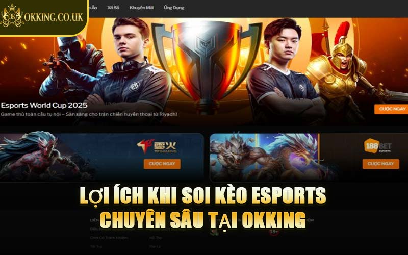 Lợi Ích Khi Soi Kèo Esports Chuyên Sâu Tại OKKING