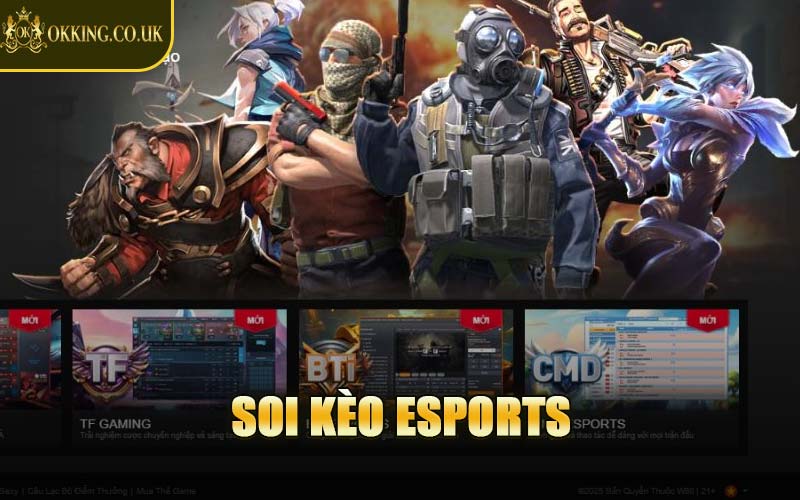 Soi Kèo Esports